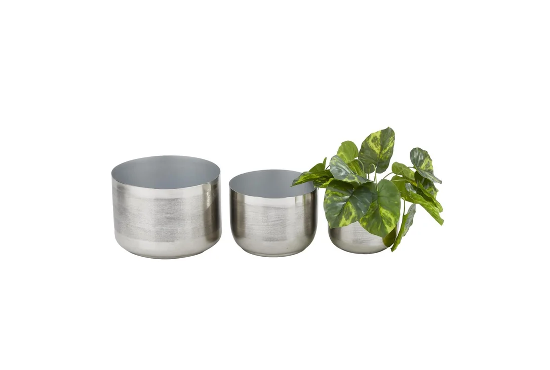 livingspaces202606210245141377182