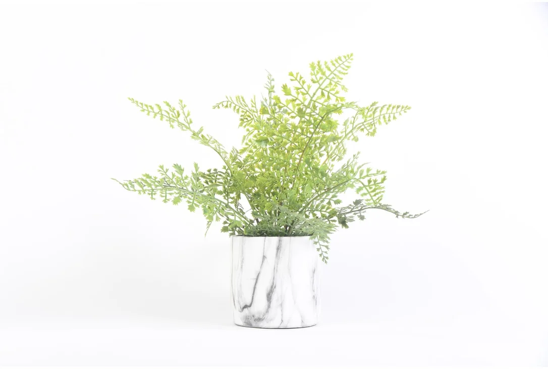 livingspaces202606210255571378947
