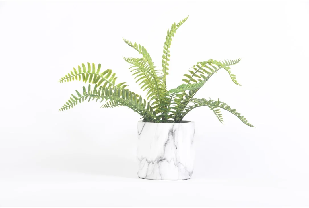 livingspaces202606210256071378973